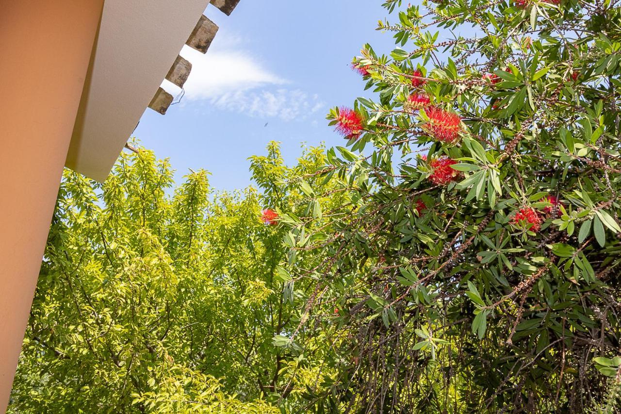 Villa Caterina La Maddalena  Екстериор снимка